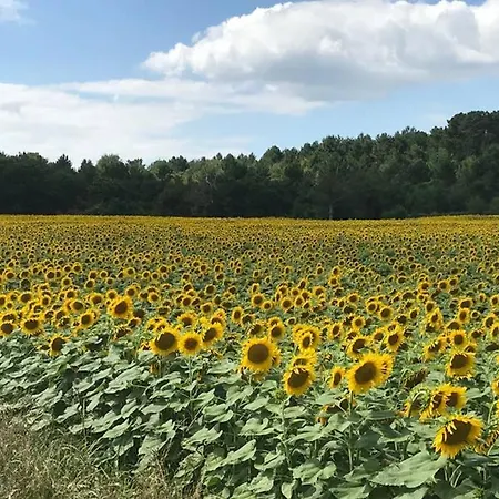 Du Plat D'etain , Confortable Maison Indépendante , Pays De La Loire * Durtal