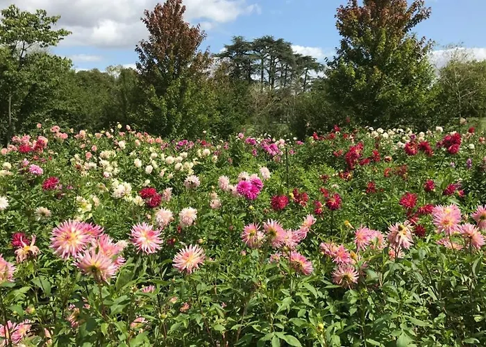 Du Plat D'etain , Confortable Maison Independante , Pays De La Loire Durtal