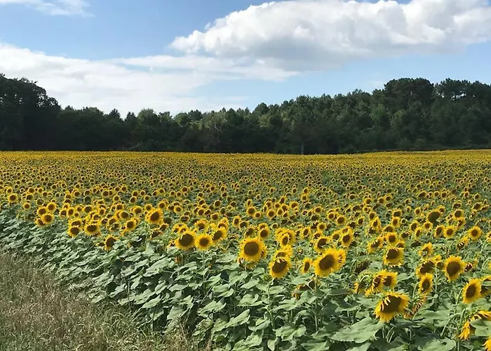 Du Plat D'etain , Confortable Maison Independante , Pays De La Loire * Durtal